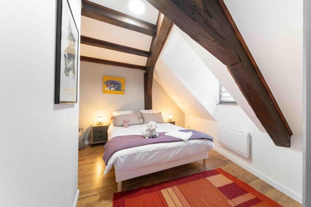 Les Lionceaux, 120M2 A Colmar, Place De Parking Gratuite 외부 사진