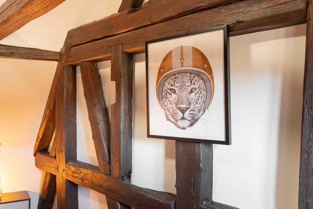 Les Lionceaux, 120M2 A Colmar, Place De Parking Gratuite 외부 사진