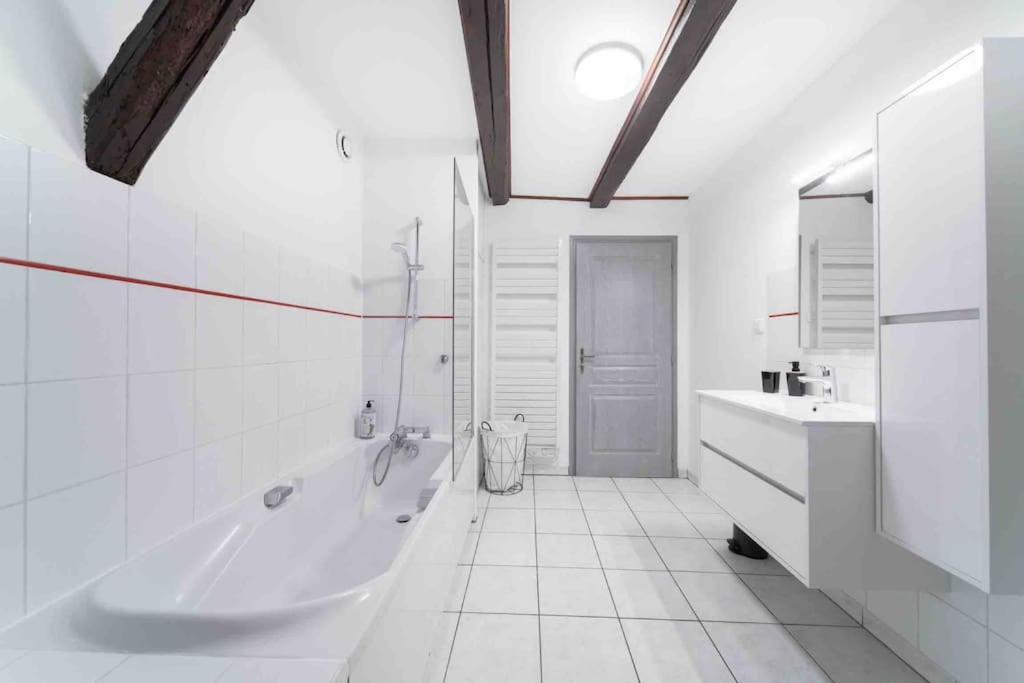 Les Lionceaux, 120M2 A Colmar, Place De Parking Gratuite 외부 사진