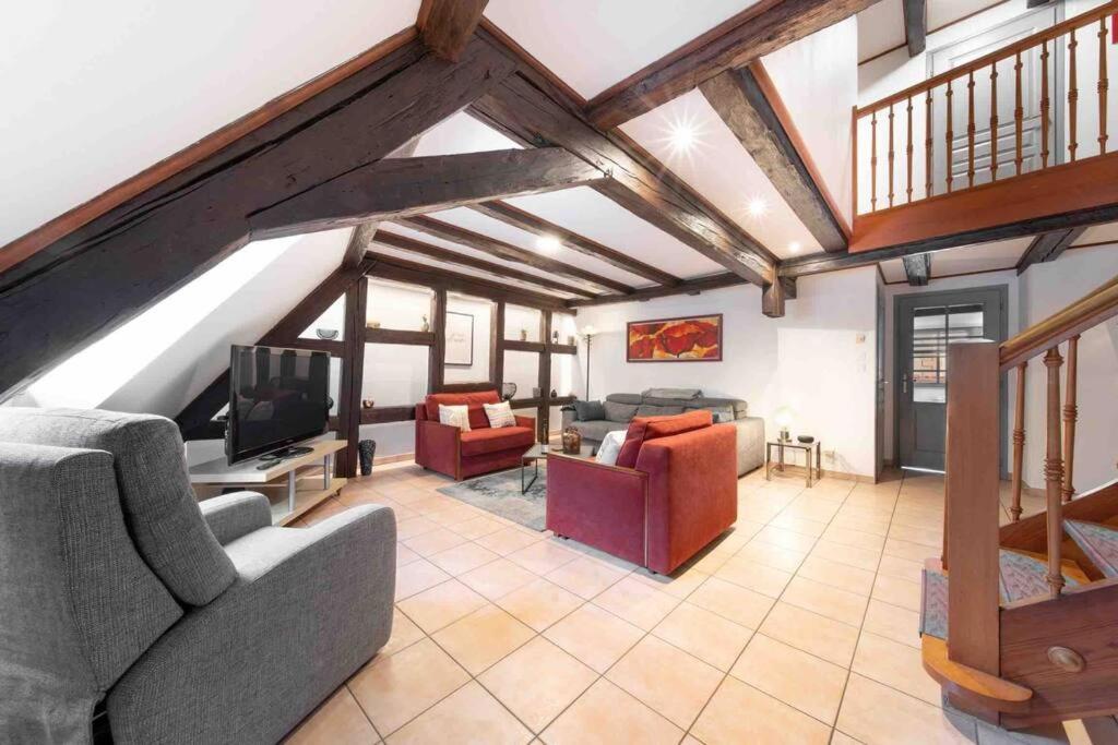 Les Lionceaux, 120M2 A Colmar, Place De Parking Gratuite 외부 사진