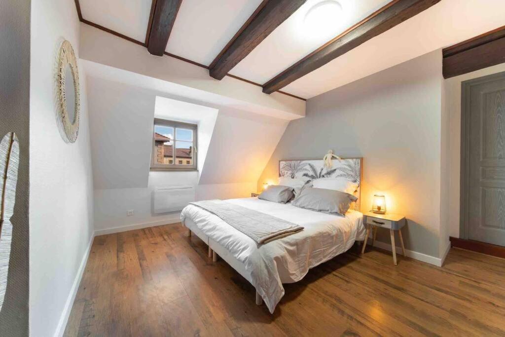 Les Lionceaux, 120M2 A Colmar, Place De Parking Gratuite 외부 사진