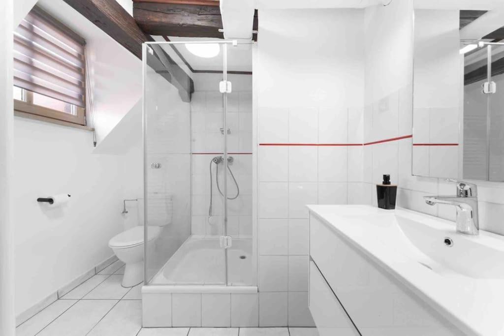 Les Lionceaux, 120M2 A Colmar, Place De Parking Gratuite 외부 사진